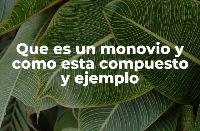 Que es un Monovio y como Esta Compuesto y Ejemplo