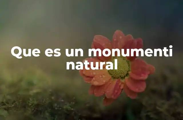Que es un Monumenti Natural