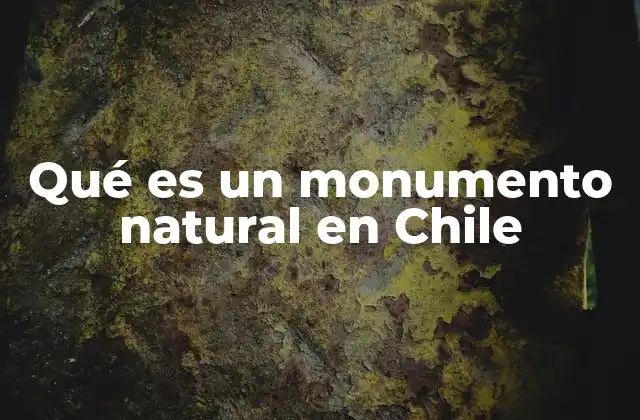 Qué es un Monumento Natural en Chile