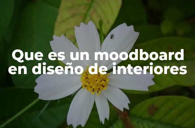 Que es un Moodboard en Diseño de Interiores