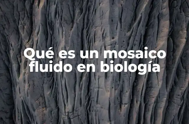 Qué es un Mosaico Fluido en Biología