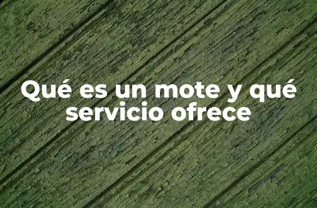 Qué es un Mote y Qué Servicio Ofrece