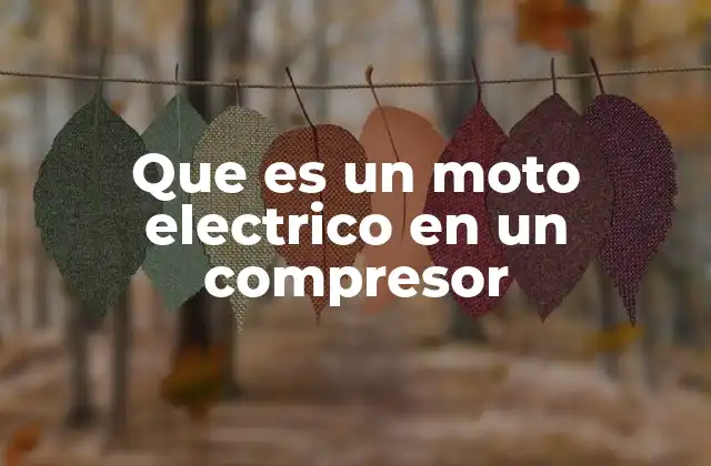 Que es un Moto Electrico en un Compresor 2 Componentes clave del motor eléctrico en un compresor