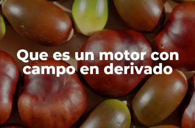 Que es un Motor con Campo en Derivado