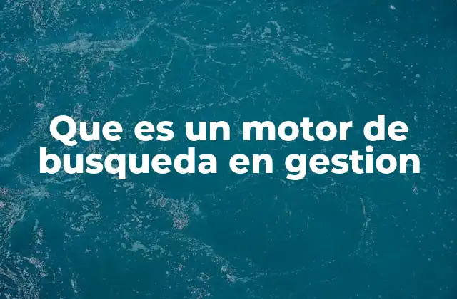 Que es un Motor de Busqueda en Gestion