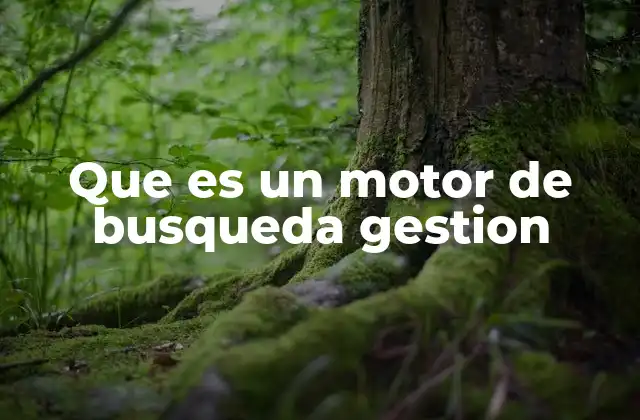 Que es un Motor de Busqueda Gestion