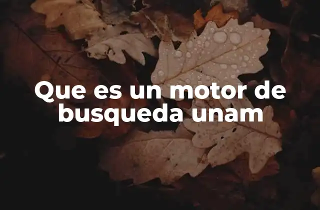 Que es un Motor de Busqueda Unam
