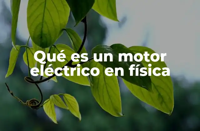 Qué es un Motor Eléctrico en Física