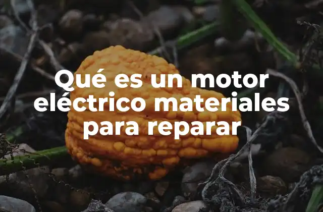 Qué es un Motor Eléctrico Materiales para Reparar