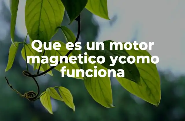 Que es un Motor Magnetico Ycomo Funciona