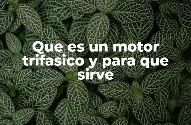 Que es un Motor Trifasico y para que Sirve