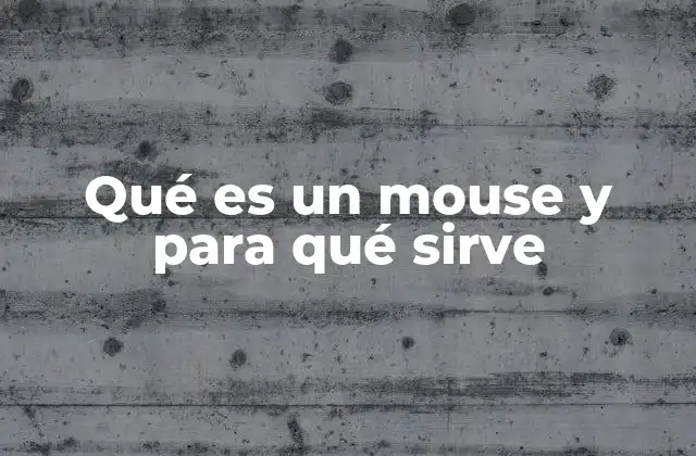 Qué es un Mouse y para Qué Sirve