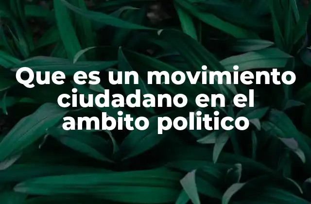 Que es un Movimiento Ciudadano en el Ambito Politico