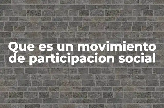Que es un Movimiento de Participacion Social