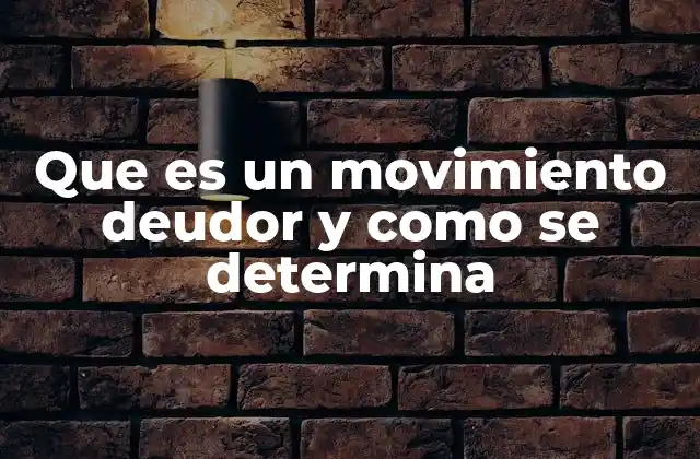 Que es un Movimiento Deudor y como Se Determina