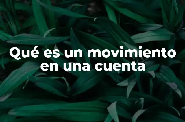 Qué es un Movimiento en una Cuenta