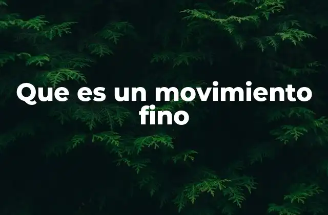 Que es un Movimiento Fino