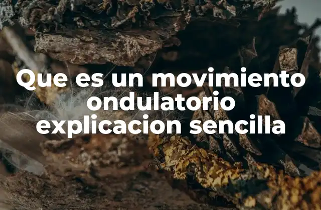 Que es un Movimiento Ondulatorio Explicacion Sencilla