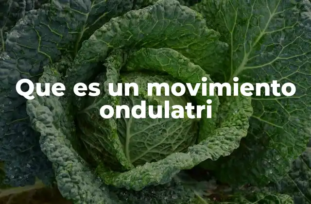 La importancia del movimiento ondulatri en la naturaleza