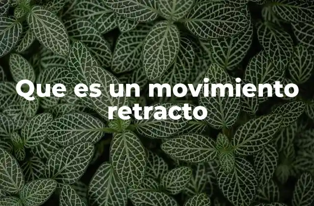 Que es un Movimiento Retracto