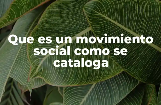 Que es un Movimiento Social como Se Cataloga