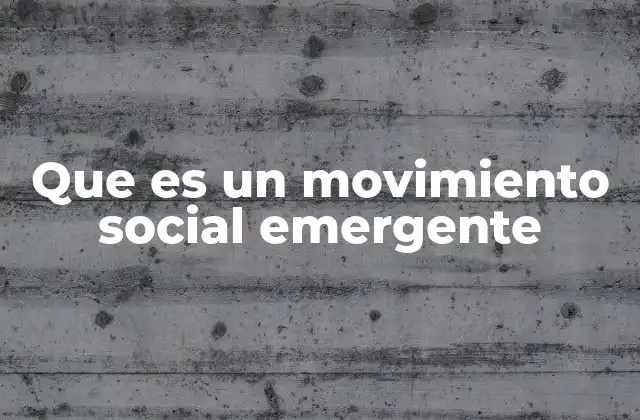 Que es un Movimiento Social Emergente