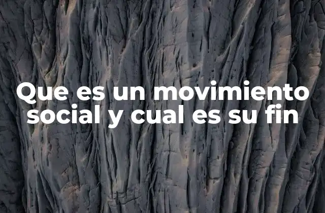 Que es un Movimiento Social y Cual es Su Fin