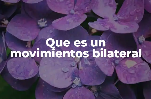 Que es un Movimientos Bilateral