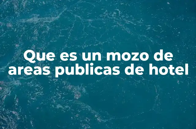 Que es un Mozo de Areas Publicas de Hotel
