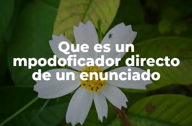 Que es un Mpodoficador Directo de un Enunciado