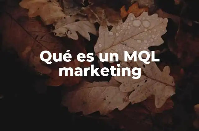 Qué es un Mql Marketing