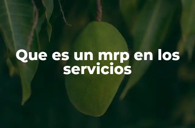 Que es un Mrp en los Servicios