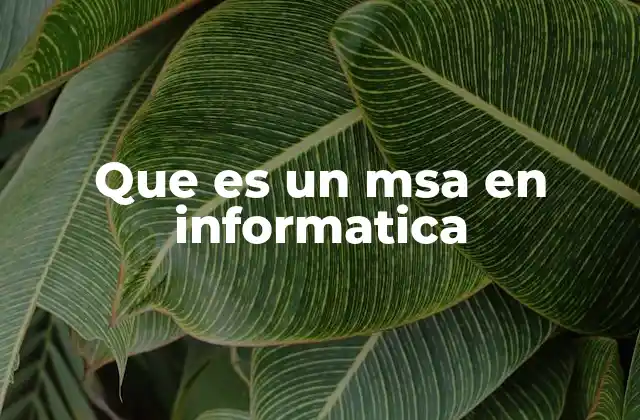 Que es un Msa en Informatica