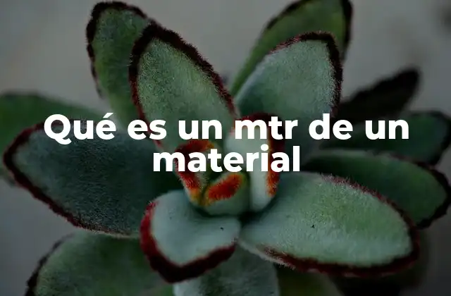 Qué es un Mtr de un Material