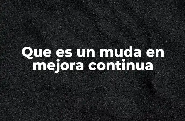 Que es un Muda en Mejora Continua