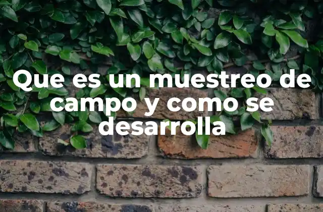 Que es un Muestreo de Campo y como Se Desarrolla