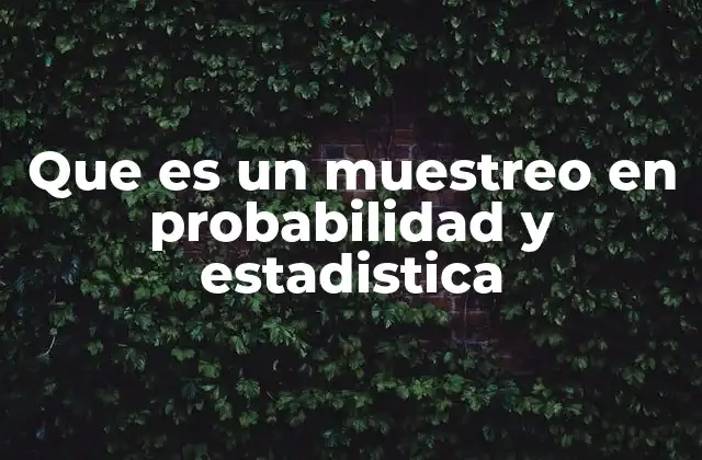 Que es un Muestreo en Probabilidad y Estadistica