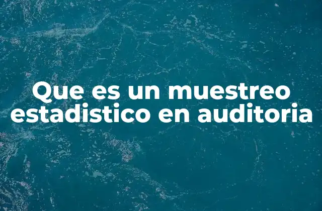 Que es un Muestreo Estadistico en Auditoria