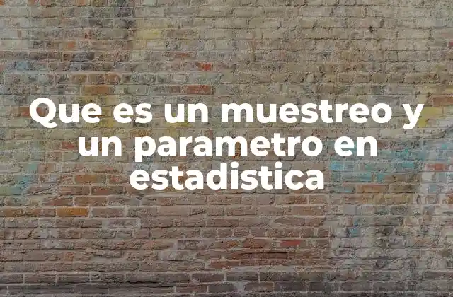 Que es un Muestreo y un Parametro en Estadistica