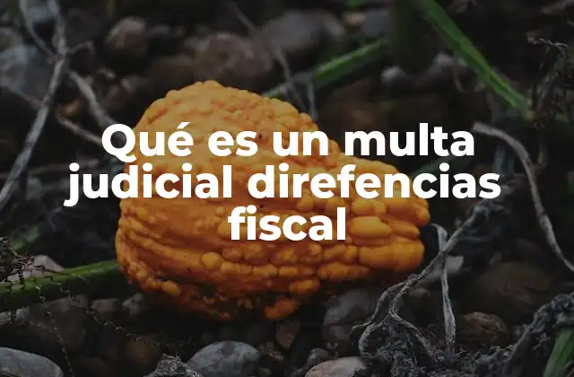 Qué es un Multa Judicial Direfencias Fiscal