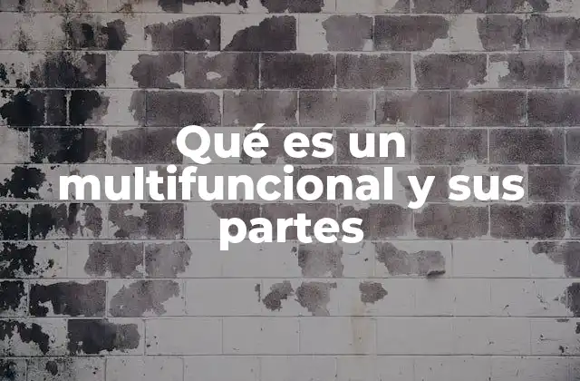 Qué es un Multifuncional y Sus Partes