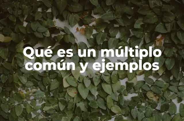 Qué es un Múltiplo Común y Ejemplos