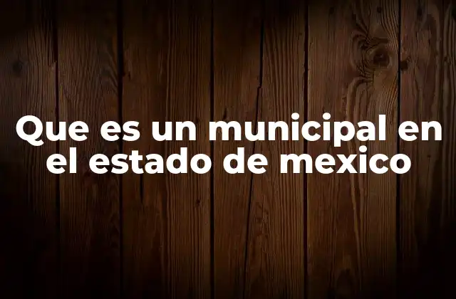 Que es un Municipal en el Estado de Mexico
