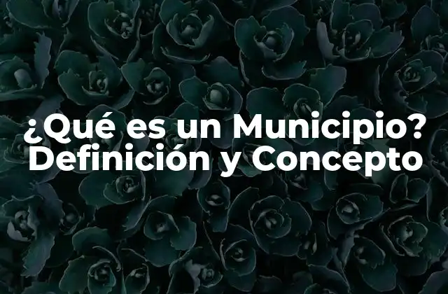 Funciones y Responsabilidades de un Municipio