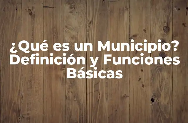 ¿qué es un Municipio? Definición y Funciones Básicas 2 Definición de un Municipio