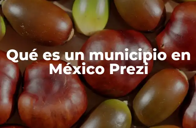 Qué es un Municipio en México Prezi