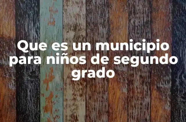 Que es un Municipio para Niños de Segundo Grado