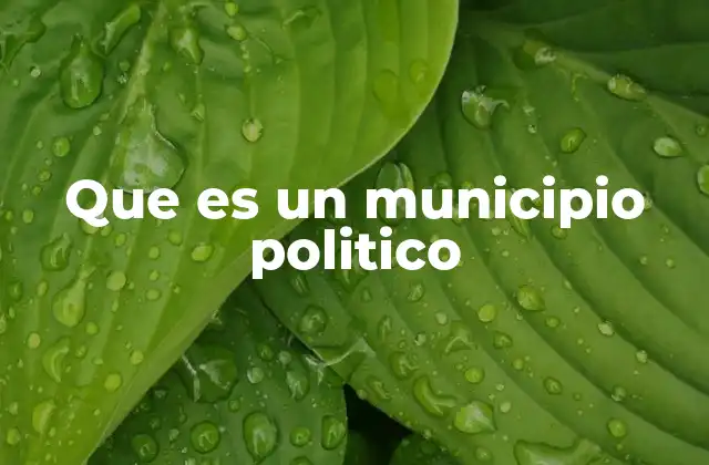 Que es un Municipio Politico