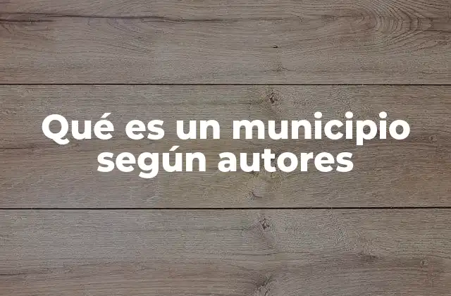 Qué es un Municipio según Autores