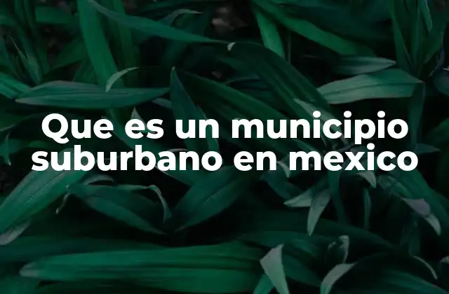 Que es un Municipio Suburbano en Mexico 2 Características de los municipios suburbanos en el contexto mexicano